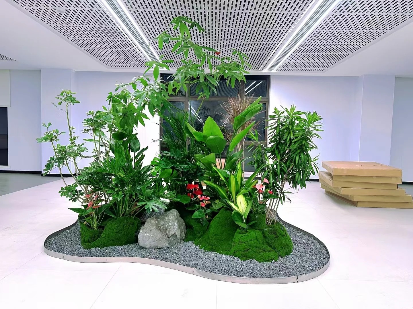 专业花木出租，宁波独特的绿色风景线